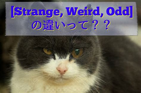 strangeとweird、oddの違い .